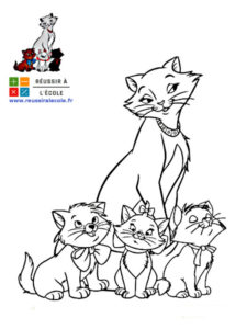 coloriage chat