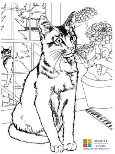 coloriage de chat