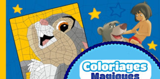 coloriage magique cm1