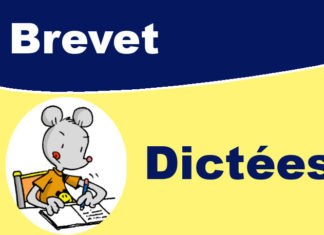 dictée brevet
