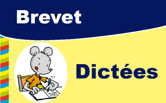 dictée brevet