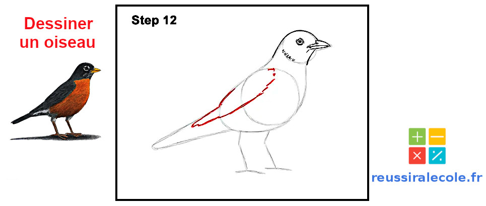 dessin facile oiseau