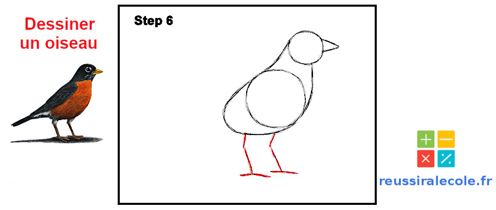 dessin facile oiseau