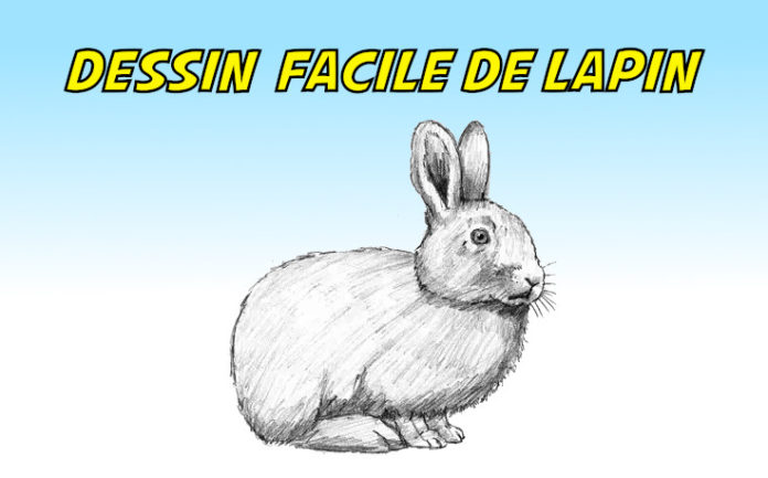 dessin lapin facile