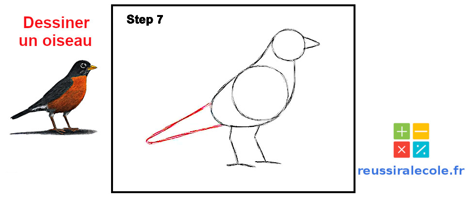 dessin oiseau facile