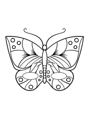 dessin papillon