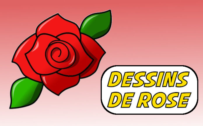 dessin rose