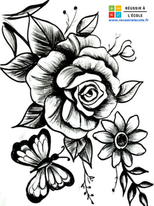 dessin rose