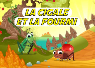 la cigale et la fourmi