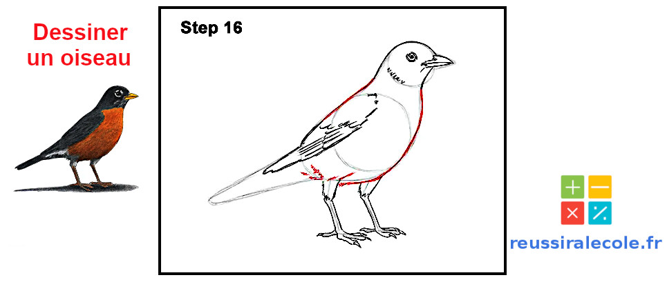oiseau dessin facile