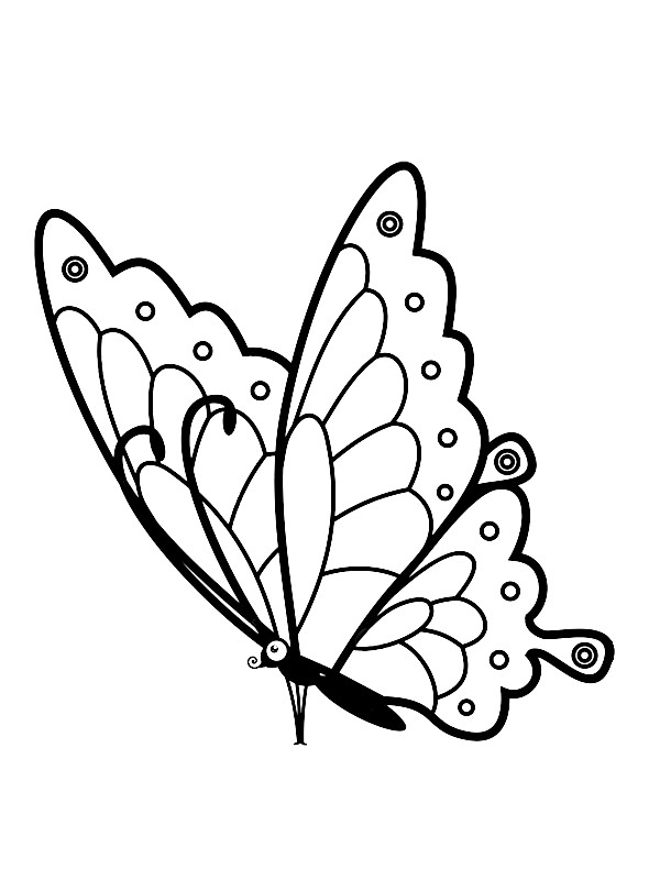 53 Dessins papillon à Imprimer & à Colorier  Coloriage papillon, Dessin  papillon, Papillon a imprimer