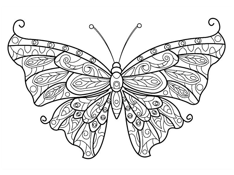 Coloriages pour les 3 - 4 ans - Joli papillon a imprimer