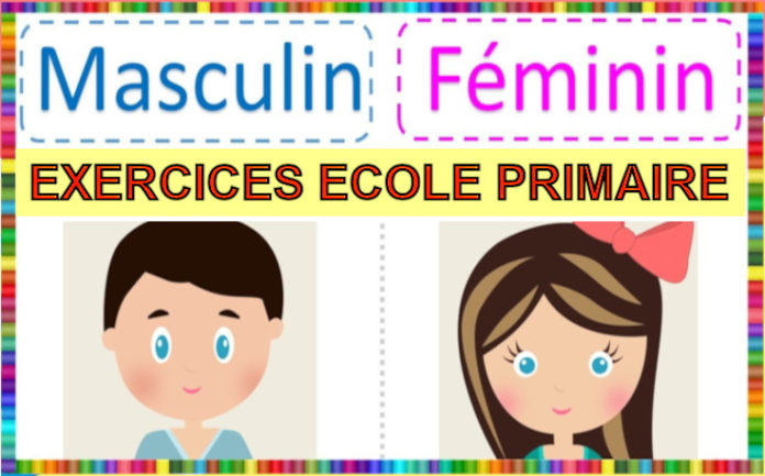 masculin féminin exercices CP