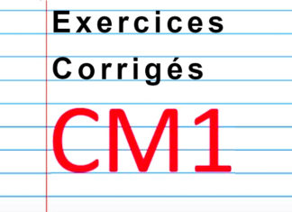 exercice cm1