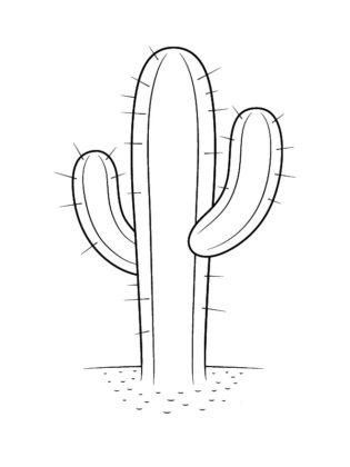 cactus dessin