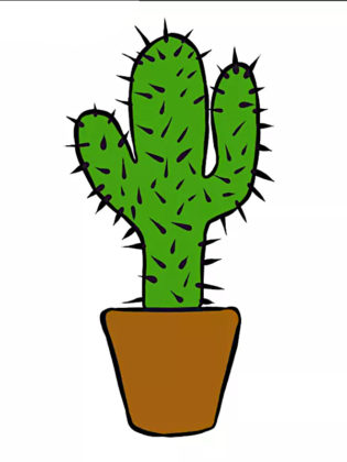 cactus dessin