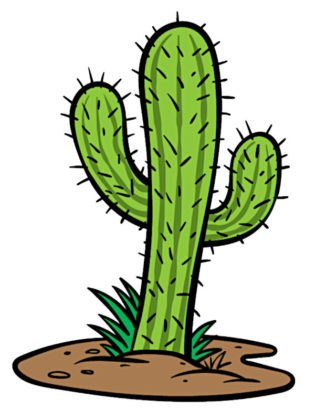 cactus dessin