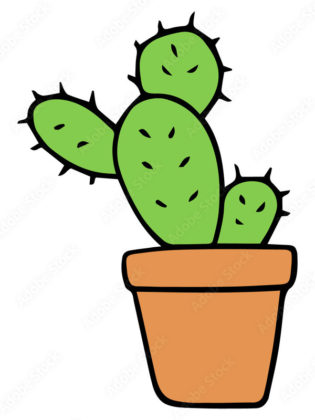 cactus dessin