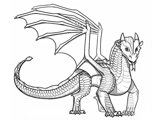 coloriage dragon