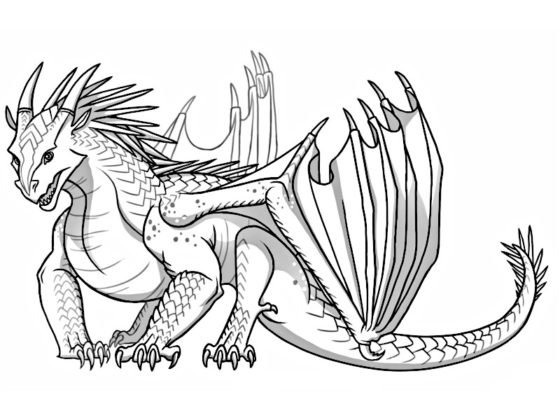 coloriage dragon