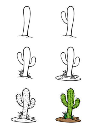 comment dessiner un cactus