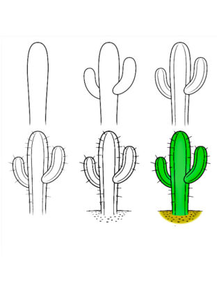 comment dessiner un cactus