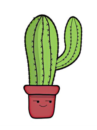 dessin cactus