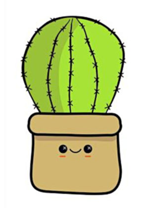 dessin cactus