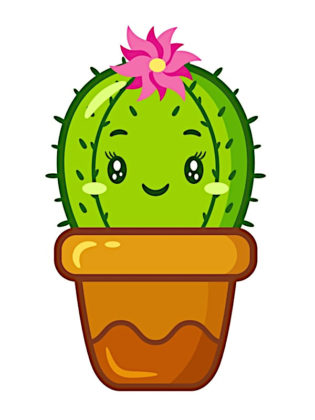 dessin cactus