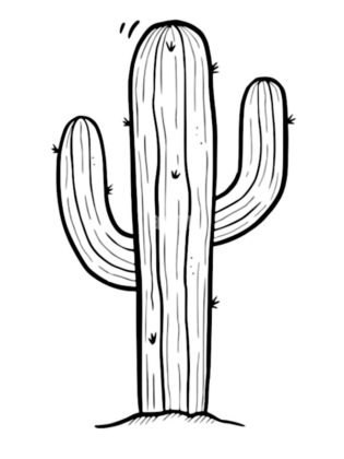 dessin cactus