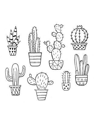 dessin cactus facile
