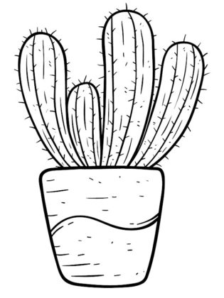 dessin de cactus