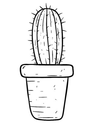 dessin de cactus