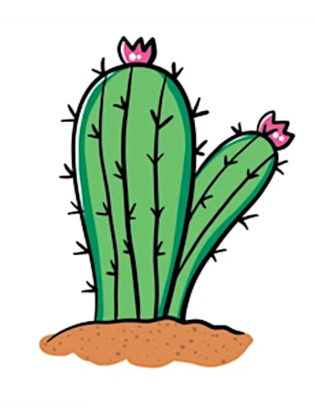 dessin de cactus