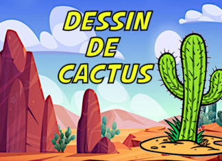 dessin de cactus