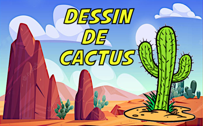 dessin de cactus