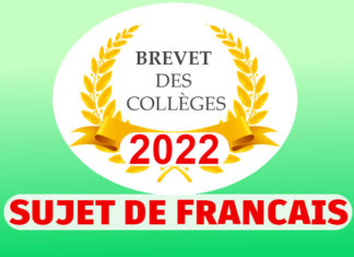 sujet francais brevet 2022