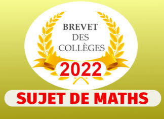 sujet maths brevet 2022