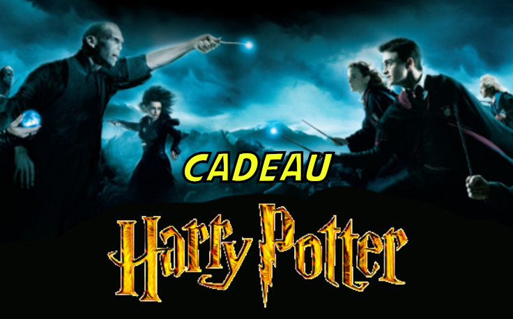 cadeau harry potter