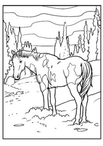 cheval dessin