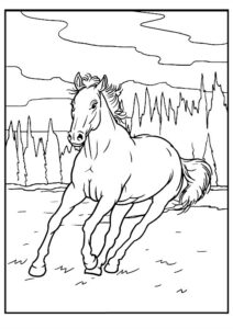 cheval dessin