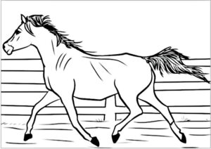 coloriage cheval