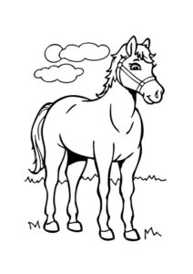 coloriage cheval