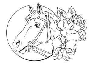 coloriage cheval