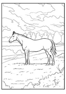 dessin cheval