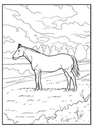 dessin cheval