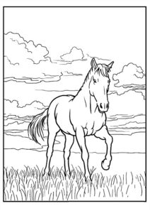 dessin cheval