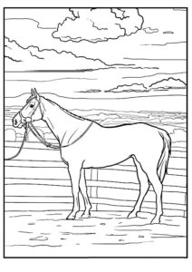 dessin cheval