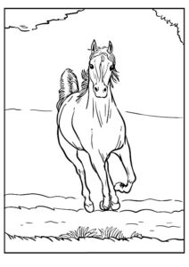 dessin cheval