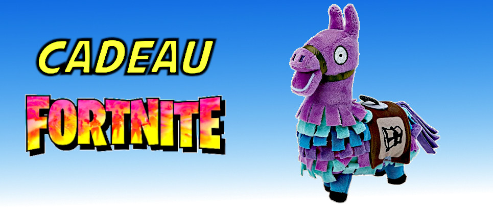 fortnite cadeau